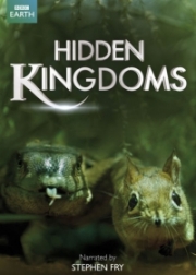 Сокрытые миры / Скрытые миры / Hidden Kingdoms (2010)