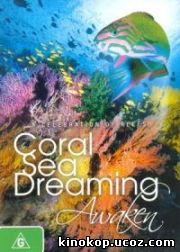 Грёзы Кораллового моря. Пробуждение