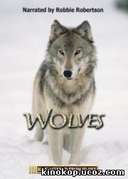 Волки / IMAX - Wolves (1999)